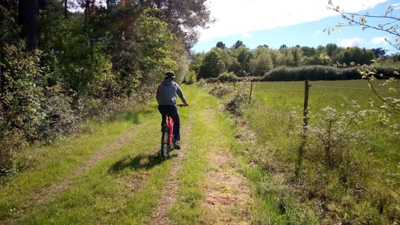 Gite Des Gravets Sigalens エクステリア 写真